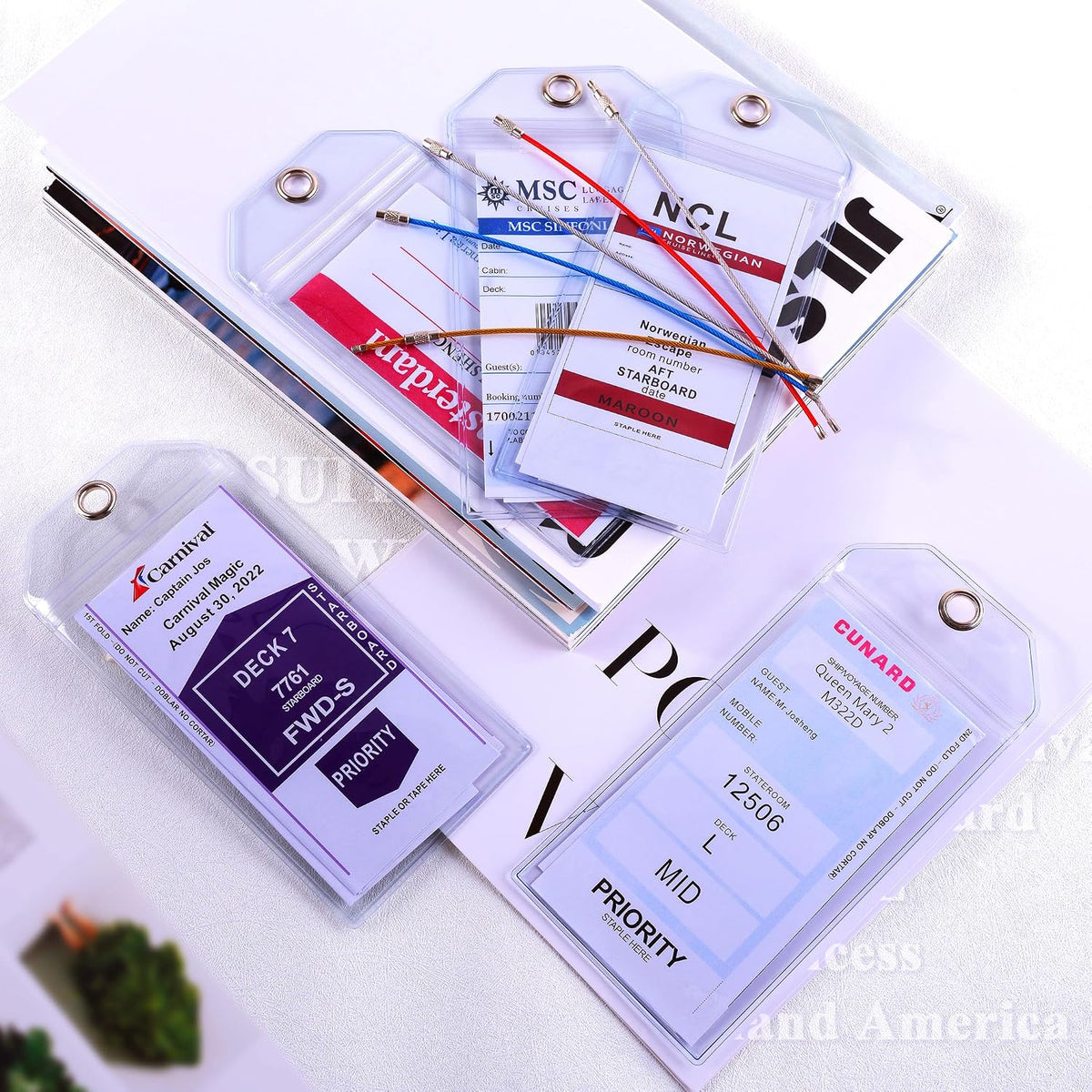 Amazon.com | Cruise Ship Essentials for Carnival. Princess. NCL. MSC by JOLLYANTS. Cruise Luggage Tag Holders. Cruise Must Haves Waterproof & Reusable | Luggage Tags